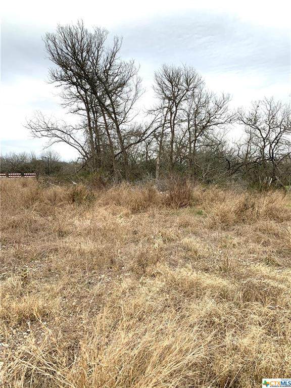 315 Margarita Dale - Photo 1