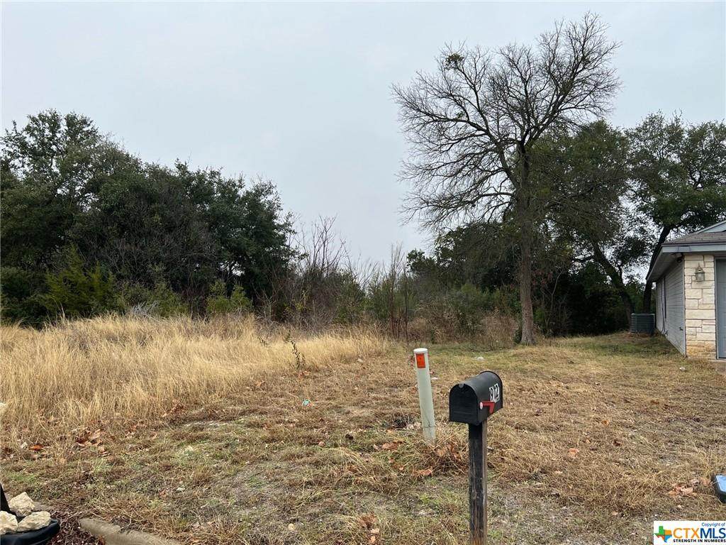 0 Carla Kay Drive - Photo 1