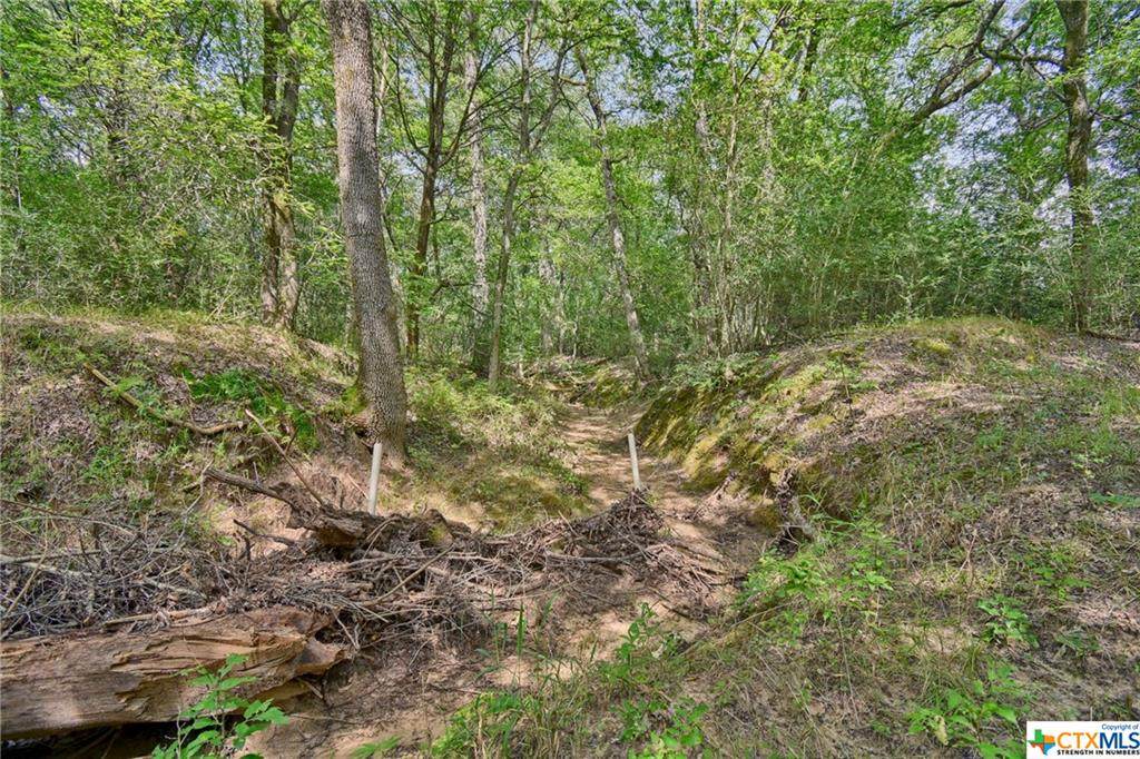 1540 County Road 302 - Photo 1