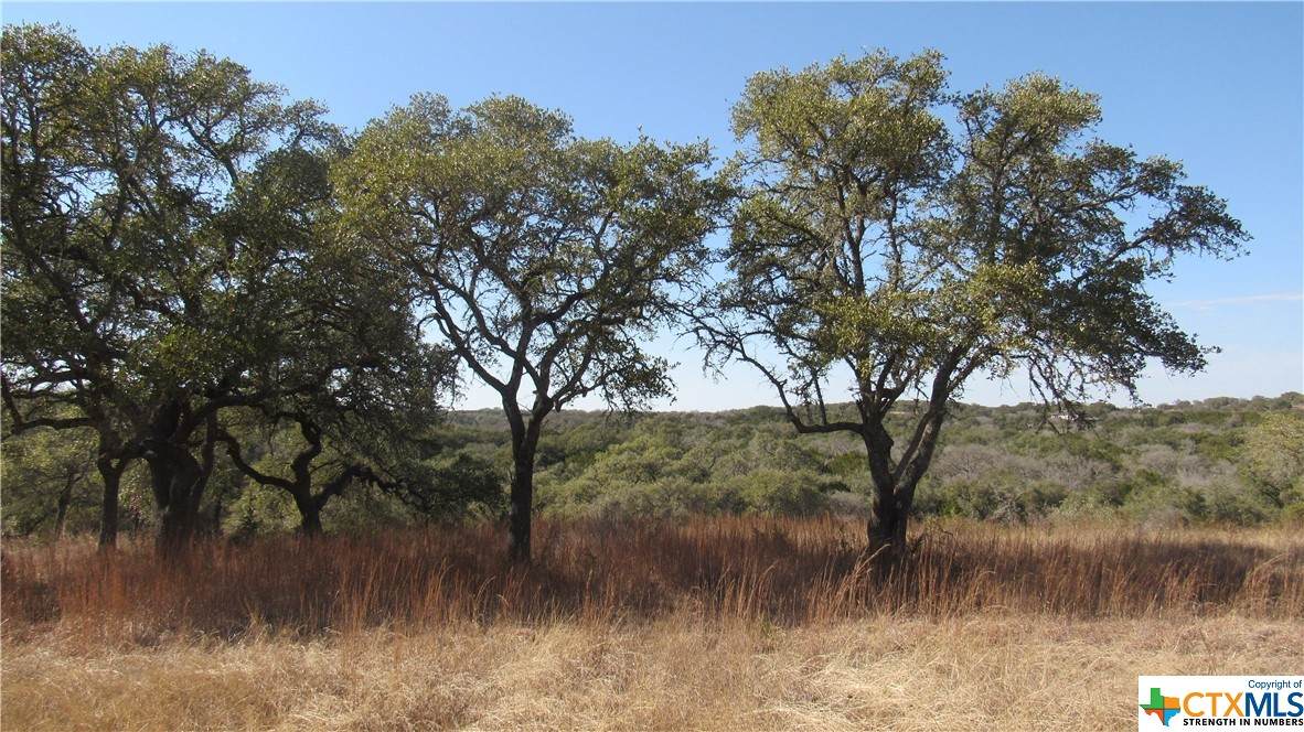 15630 Fm 32 - Photo 1