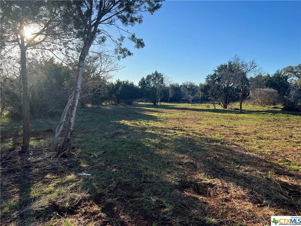 883 Oak Bluff Trail - Photo 1