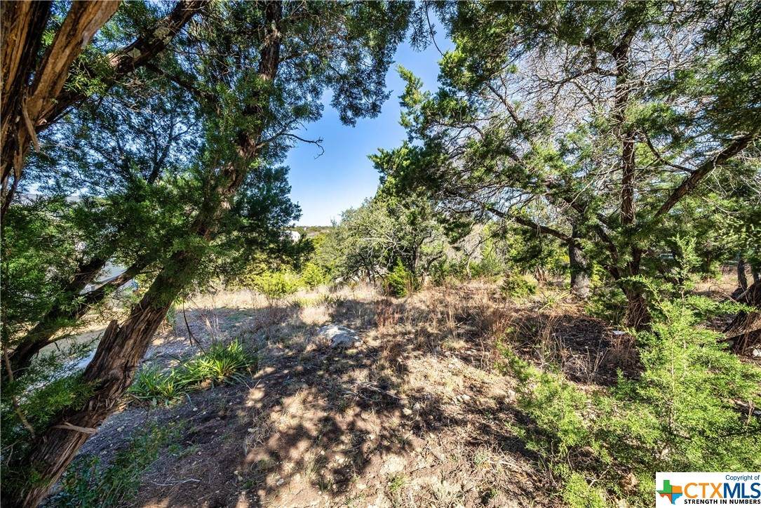 21901 Moulin Drive - Photo 1