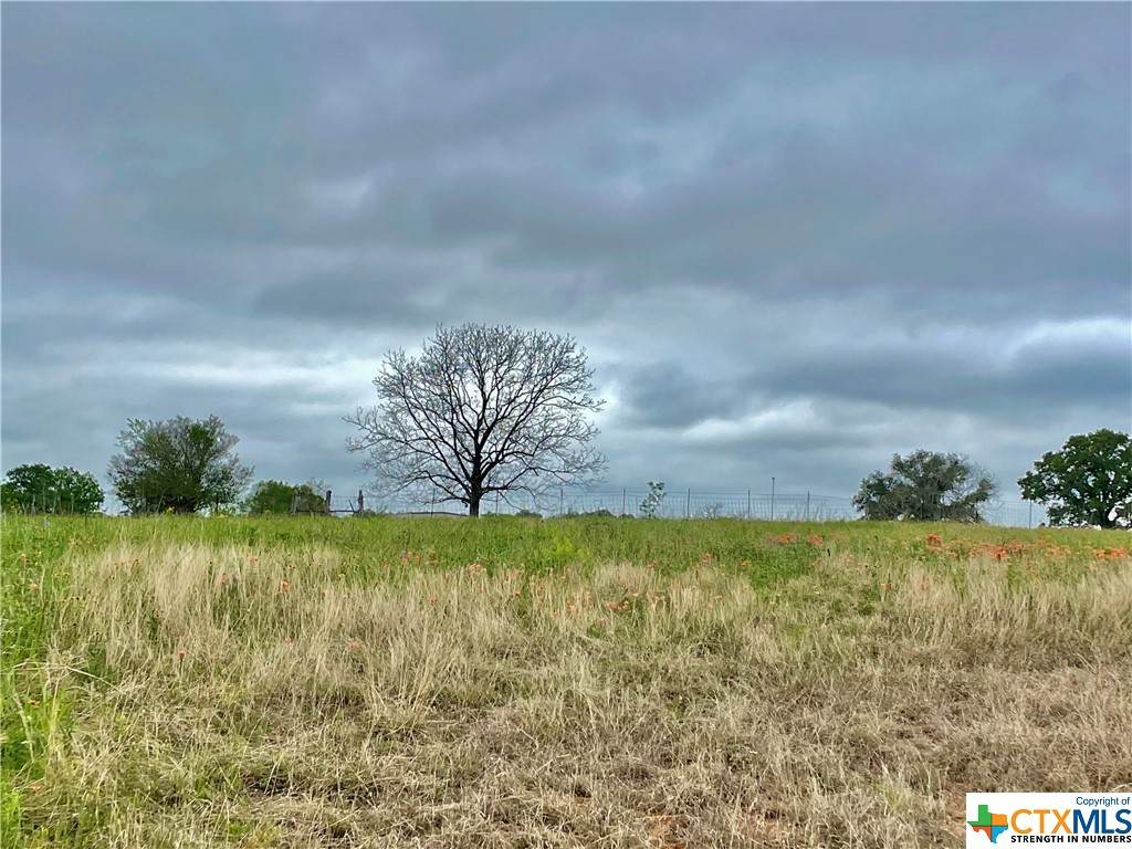 TBD Hwy 90 A Drive - Photo 1