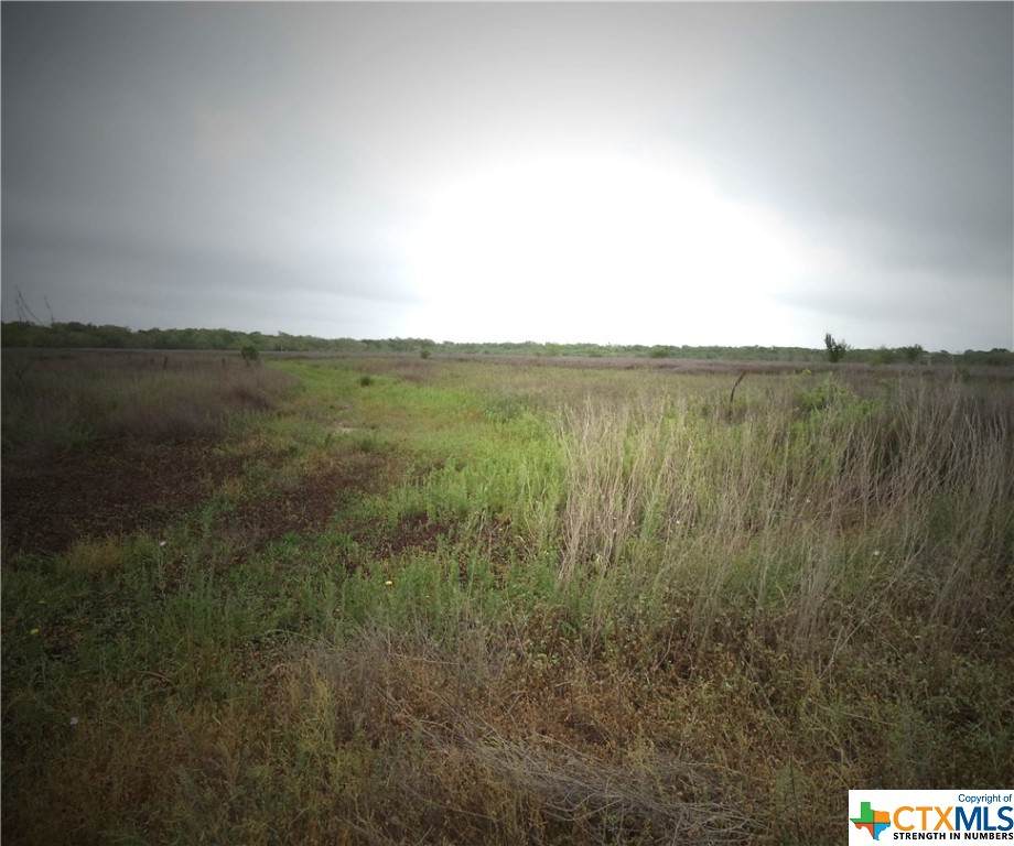291-292 Guadalupe River Road - Photo 1