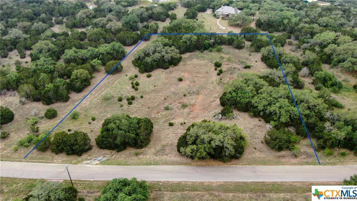 235 Pin Oak Trail - Photo 1