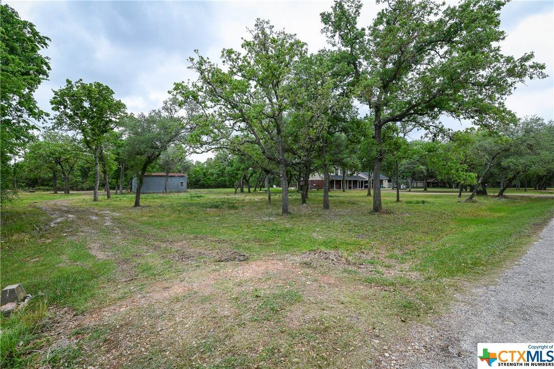 1313 Live Oak Drive - Photo 1