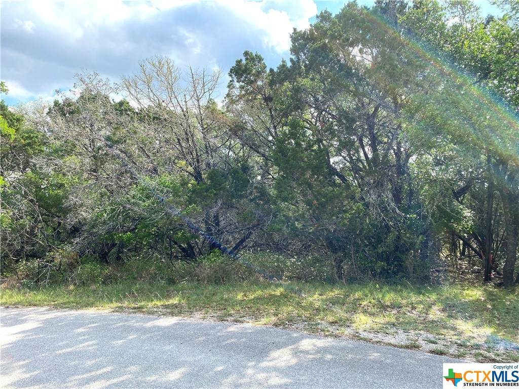 989 Deerwood Drive - Photo 1