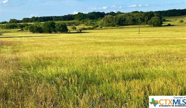 516 County Road 228 - Photo 1