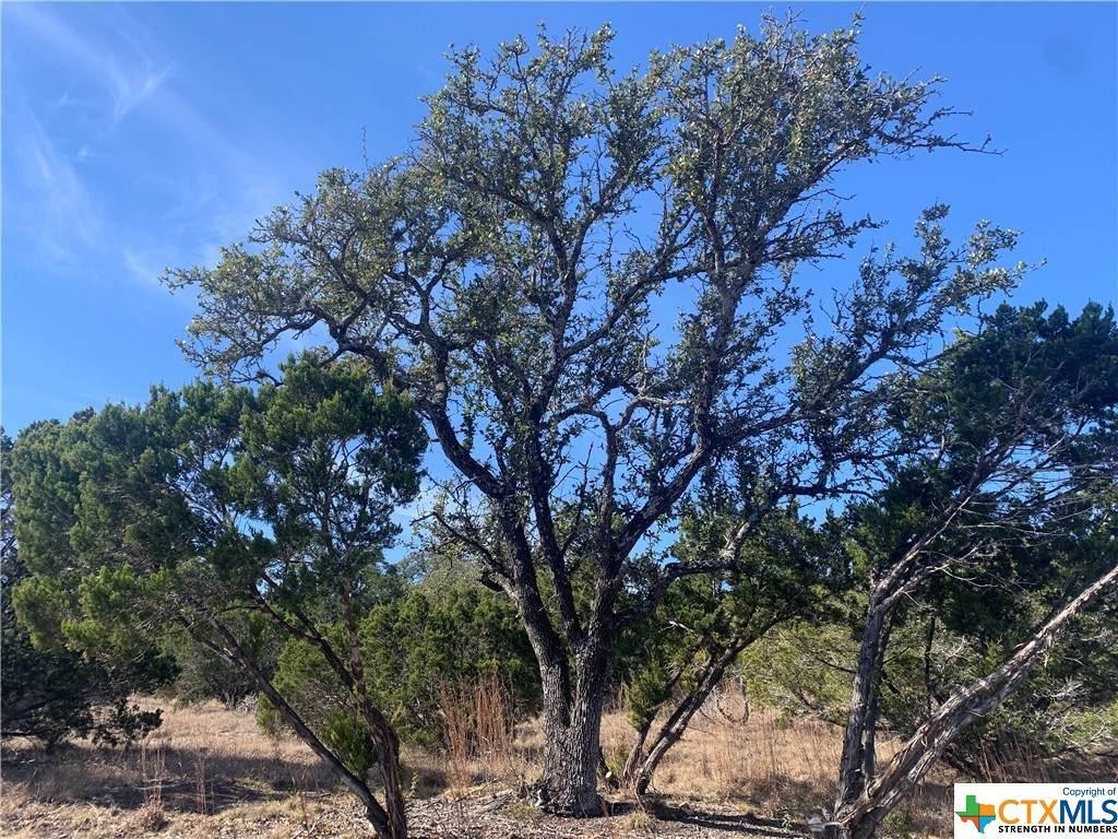 544 Canyon Rock - Photo 1