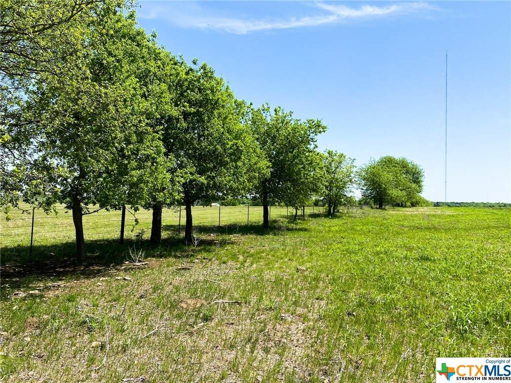 TBD Spring Valley Rd - Photo 1