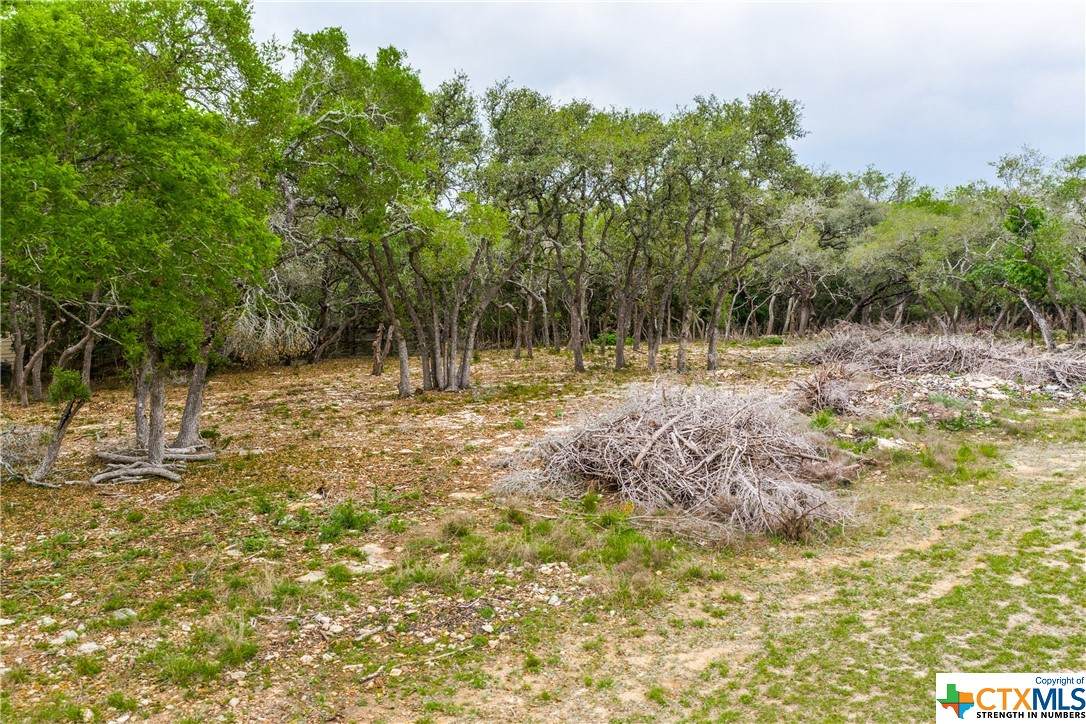 4009 Cornwall Street - Photo 1