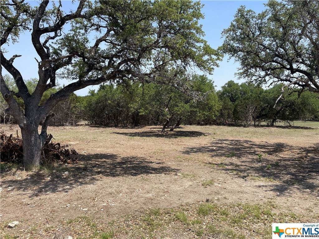 645 Lantana Ridge - Photo 1
