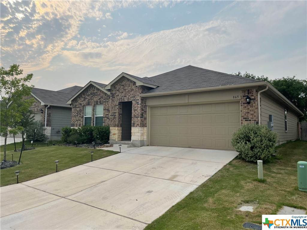 865 Margay Loop - Photo 1