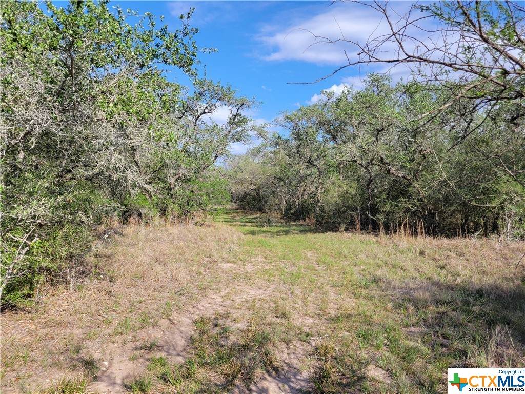0000 Old Goliad Road - Photo 1