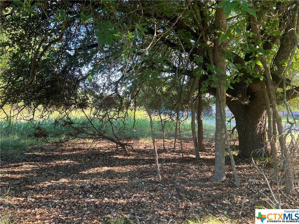 9 Donkey Lane - Photo 1