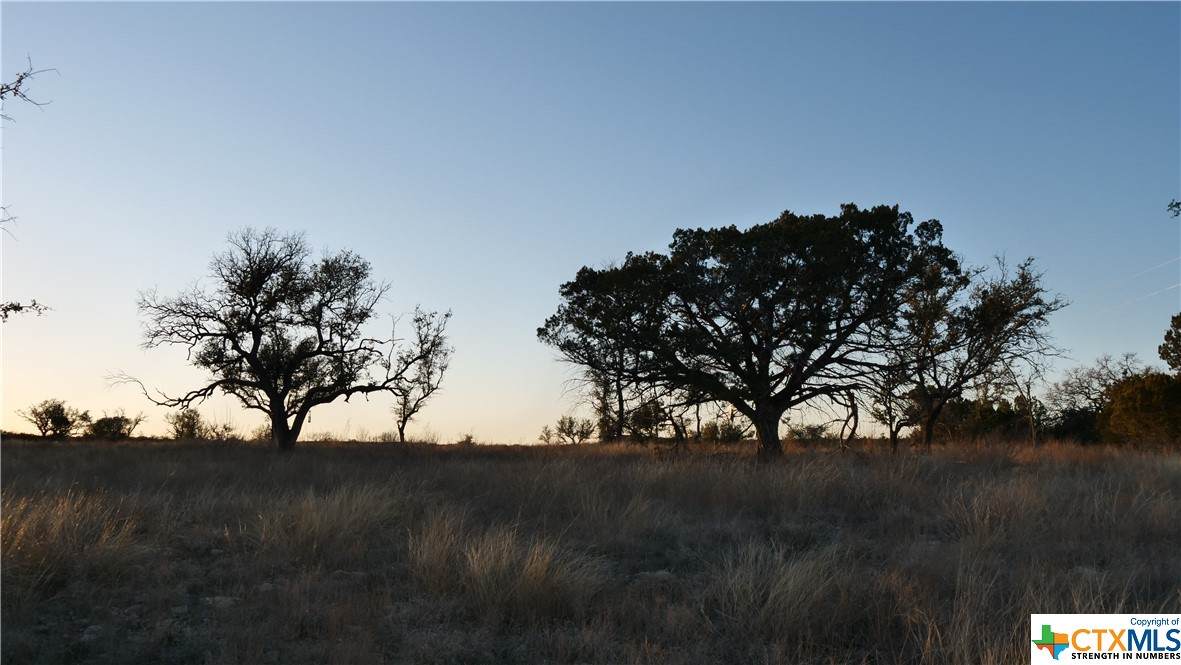3298 Private Road 4211 - Photo 1