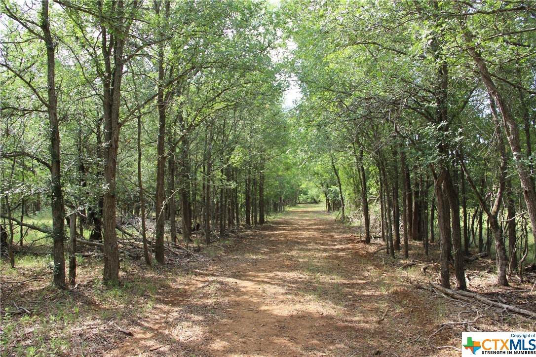 958 Watts Road - Photo 1