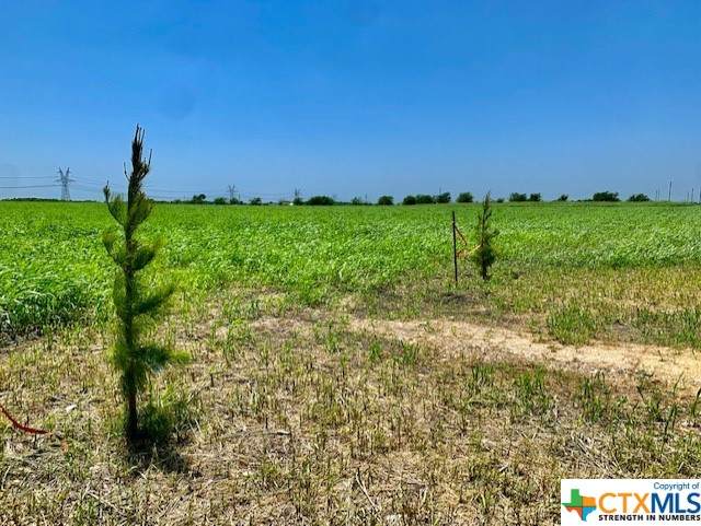 11615 Stallion Road - Photo 1