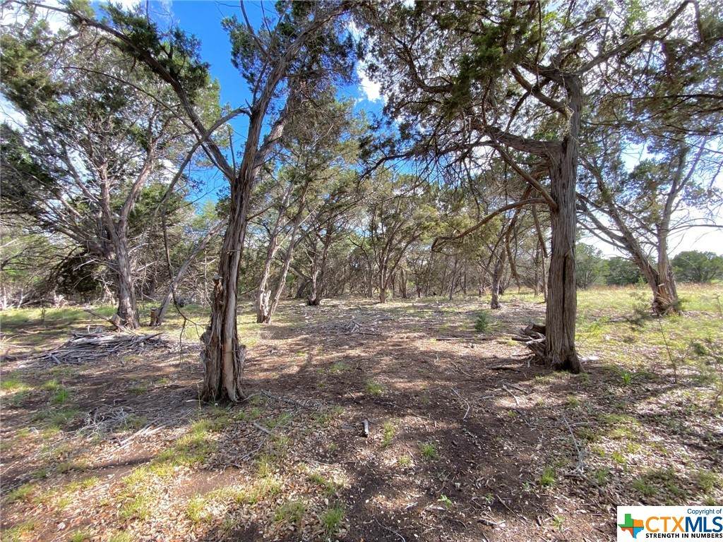 929 Malbec Loop - Photo 1