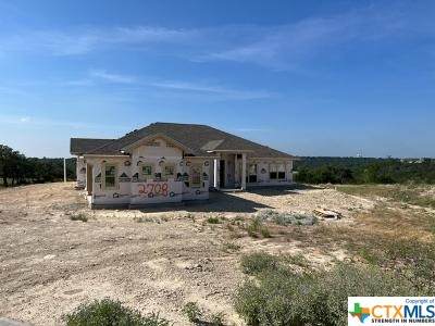 2708 Sun Point Circle - Photo 1