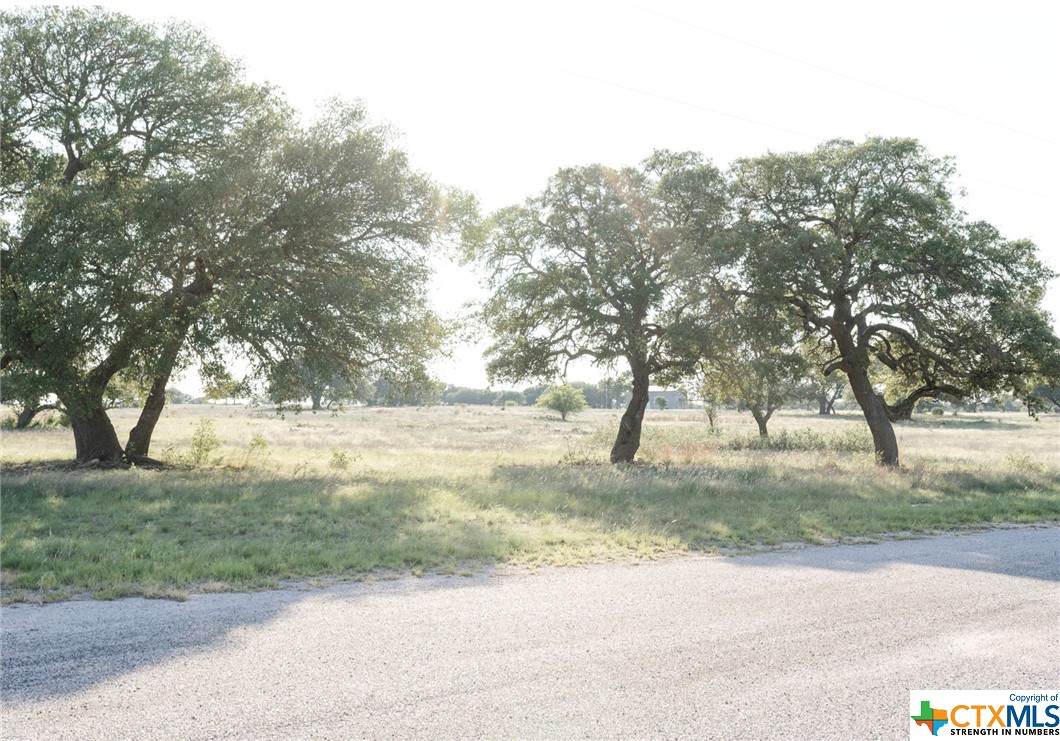 lot 108 Waterbuck Way - Photo 1