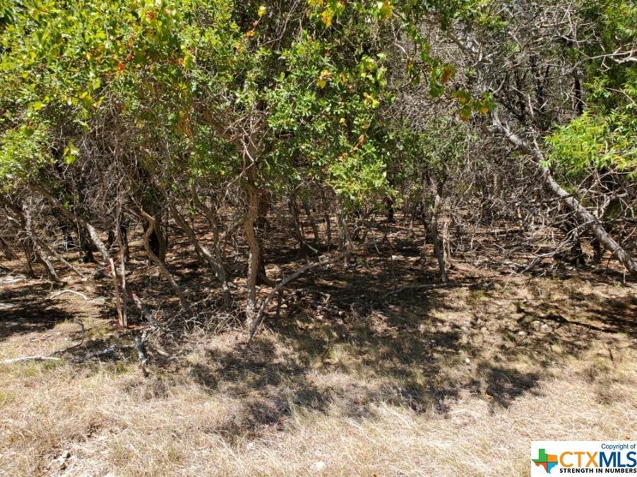 5267 Comanche Drive - Photo 1