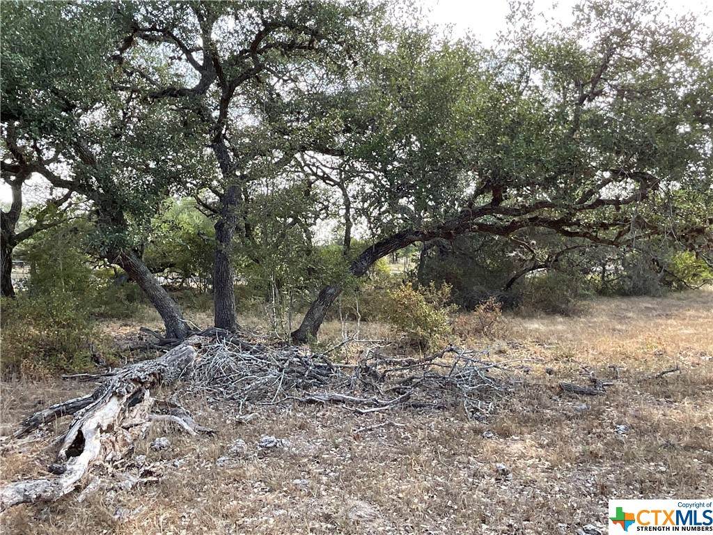 0000 Cattle Guard Road - Photo 1