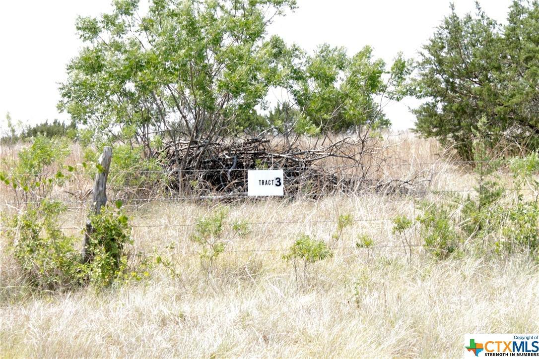 TBD Harmon Road - Photo 1