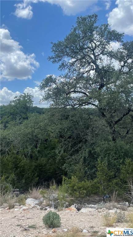 1349 Powder Ridge Road - Photo 1