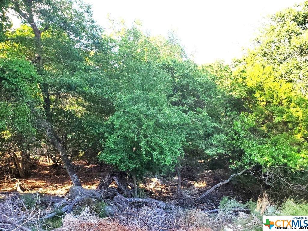 16353 Charlya Drive - Photo 1