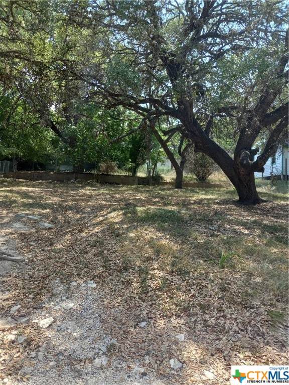 442 Ridgehaven Street - Photo 1