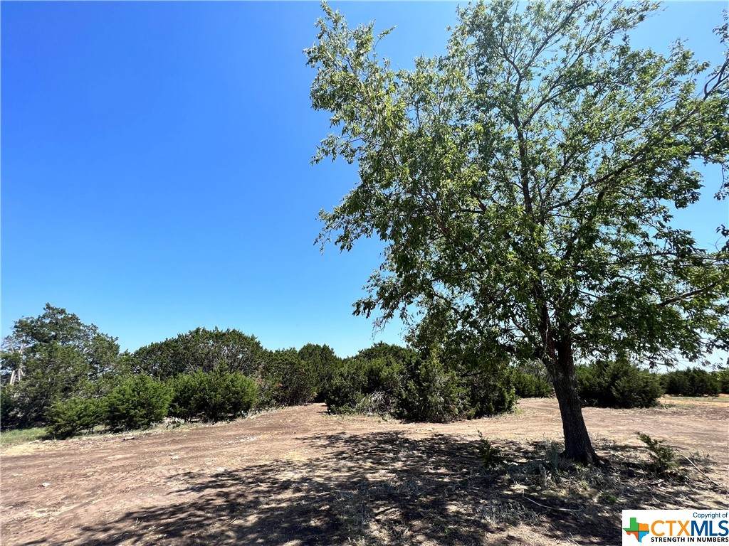 3 Garrett Cove - Photo 1