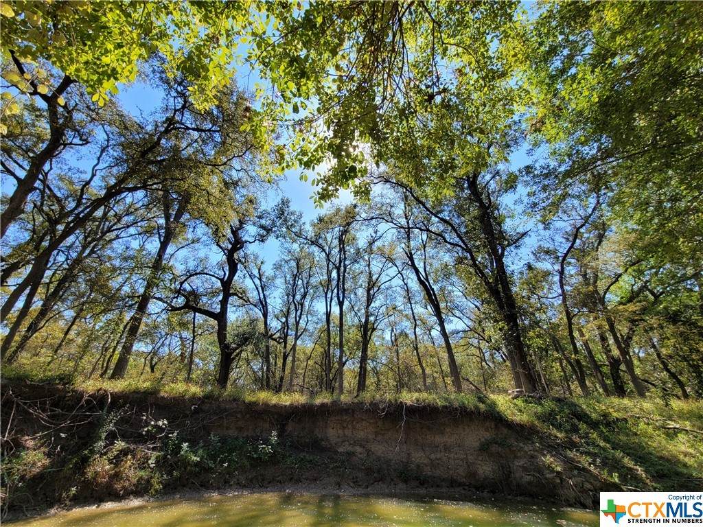 TBD Sunshine Road - Photo 1