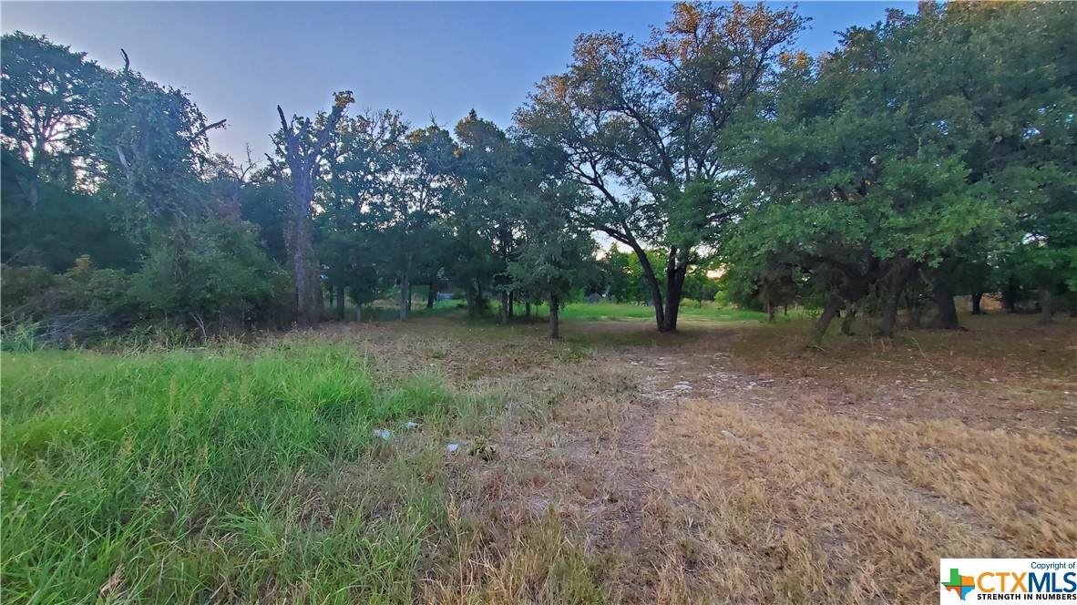 0000 Chisolm Trail Parkway - Photo 1