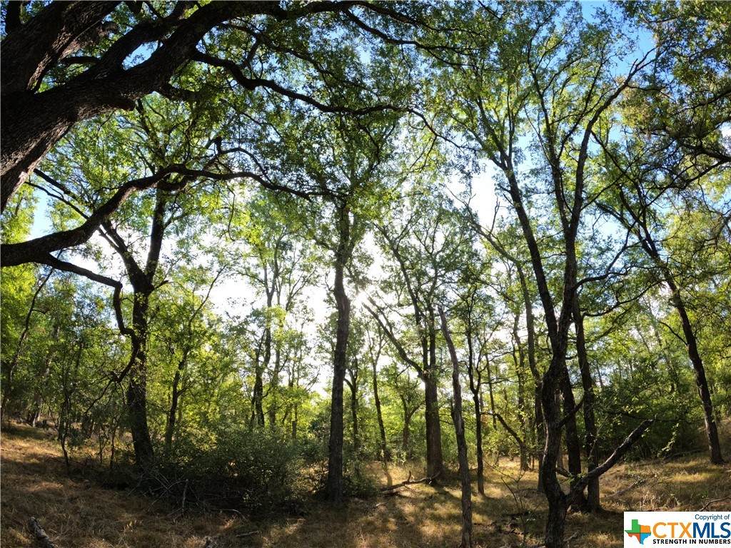 TBD Rosanky Rd, Tract 3 - Photo 1
