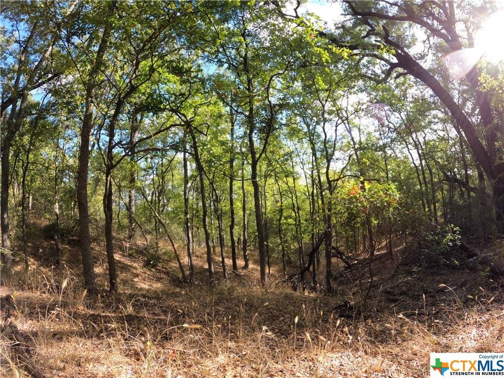 TBD Rosanky Rd, Tract 9 - Photo 1