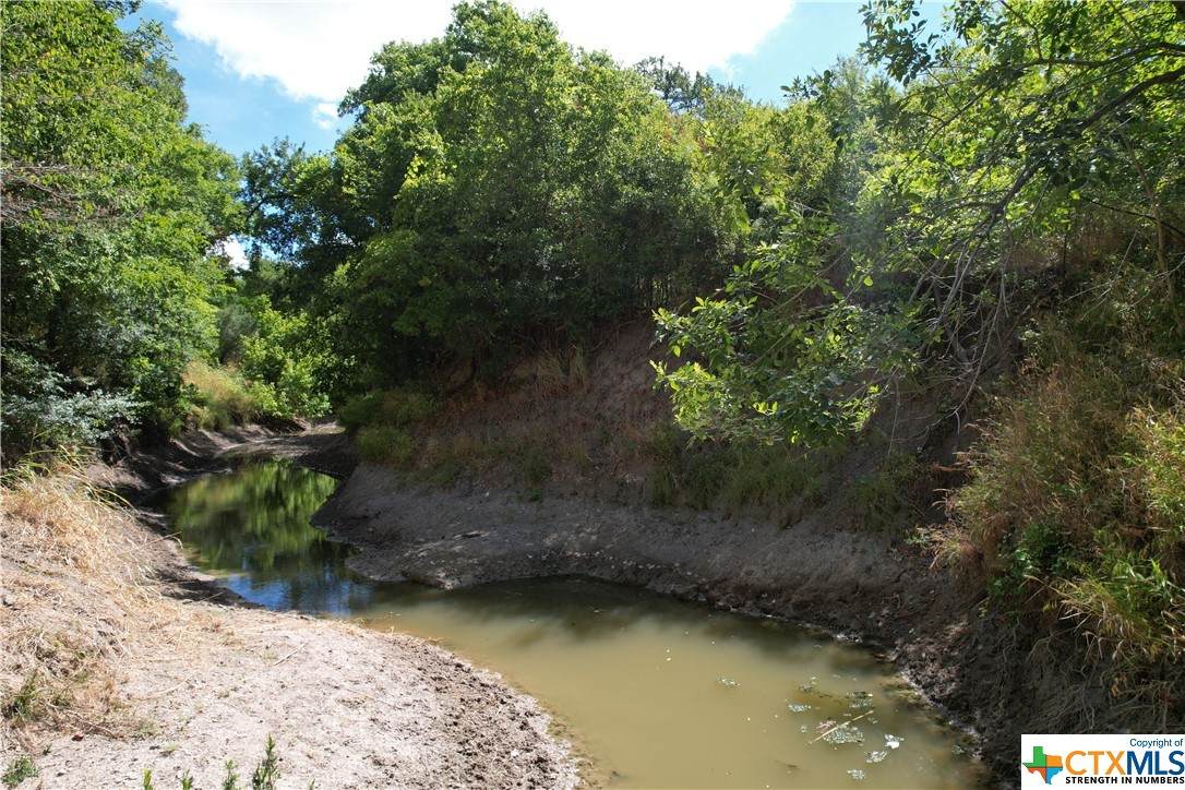 TBD Rosanky Rd, Tract 10 - Photo 1