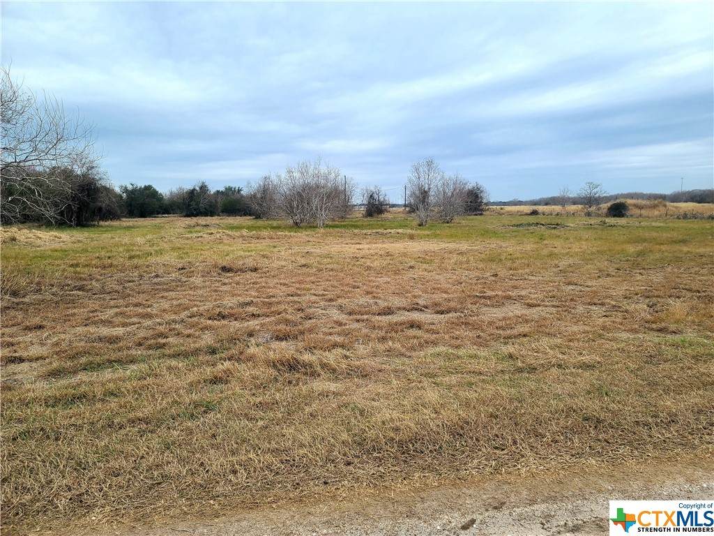 TBD Mockingbird Lane - Photo 1