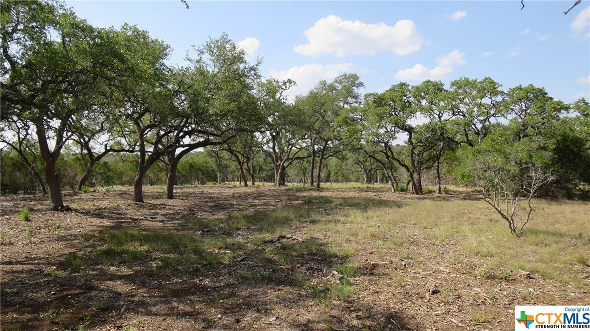 713 Sharp Springs Rd - Photo 1