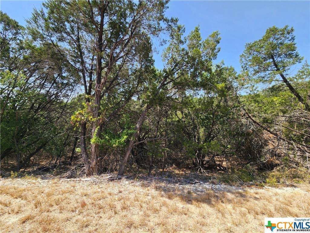 4075 Sherwood Drive - Photo 1