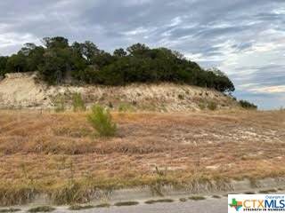 1911 Fall Creek Drive - Photo 1