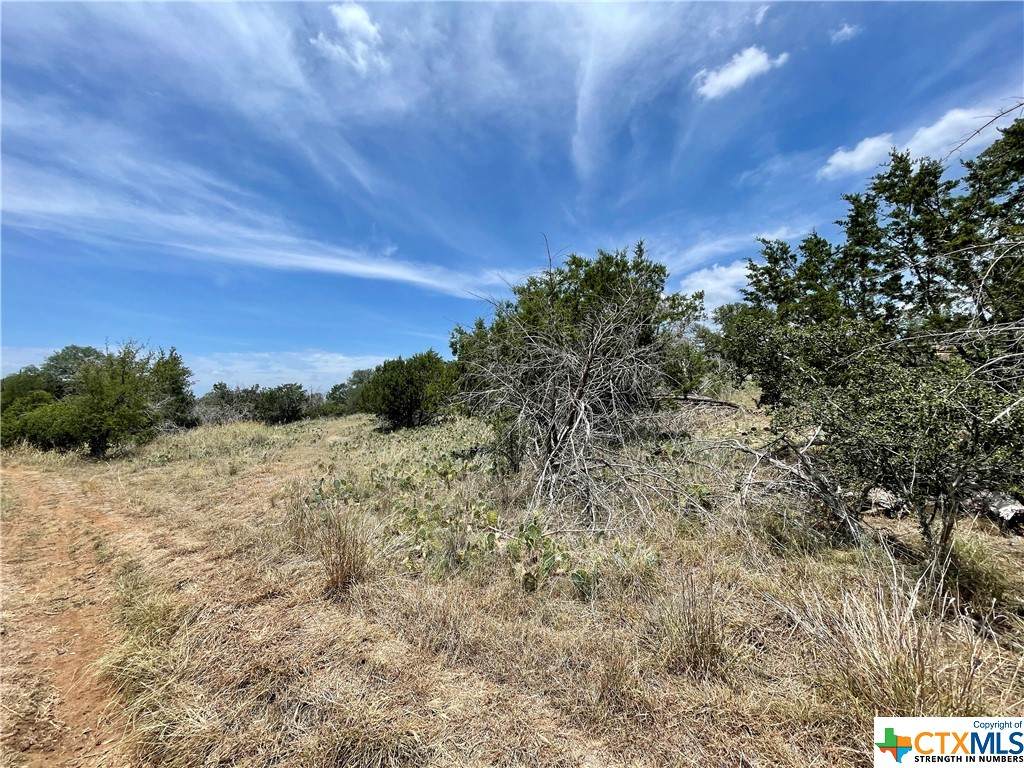 Lots 1018-1021 Hill Street - Photo 1