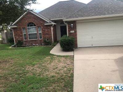 2603 Blue Meadow - Photo 1