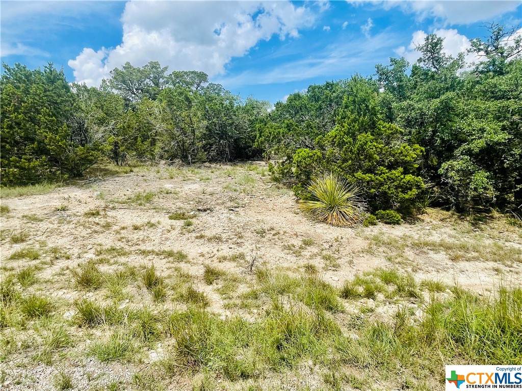 527 Abodar Trail - Photo 1