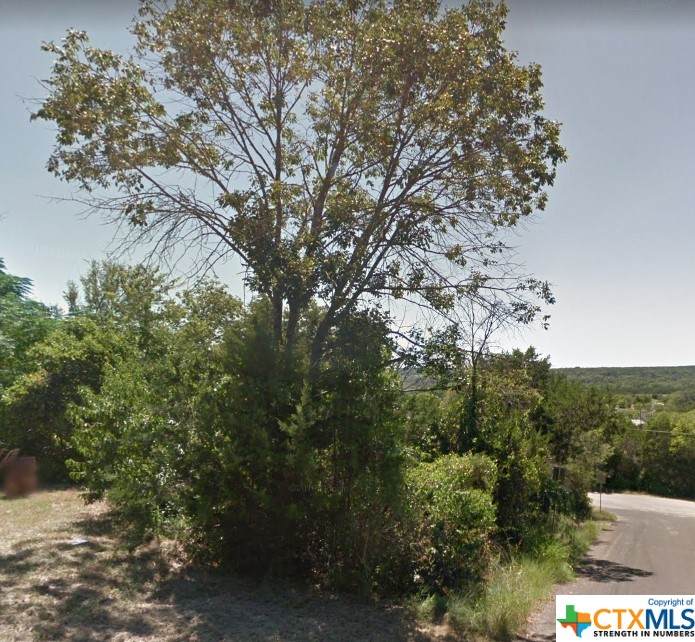 6713 Athens Street - Photo 1
