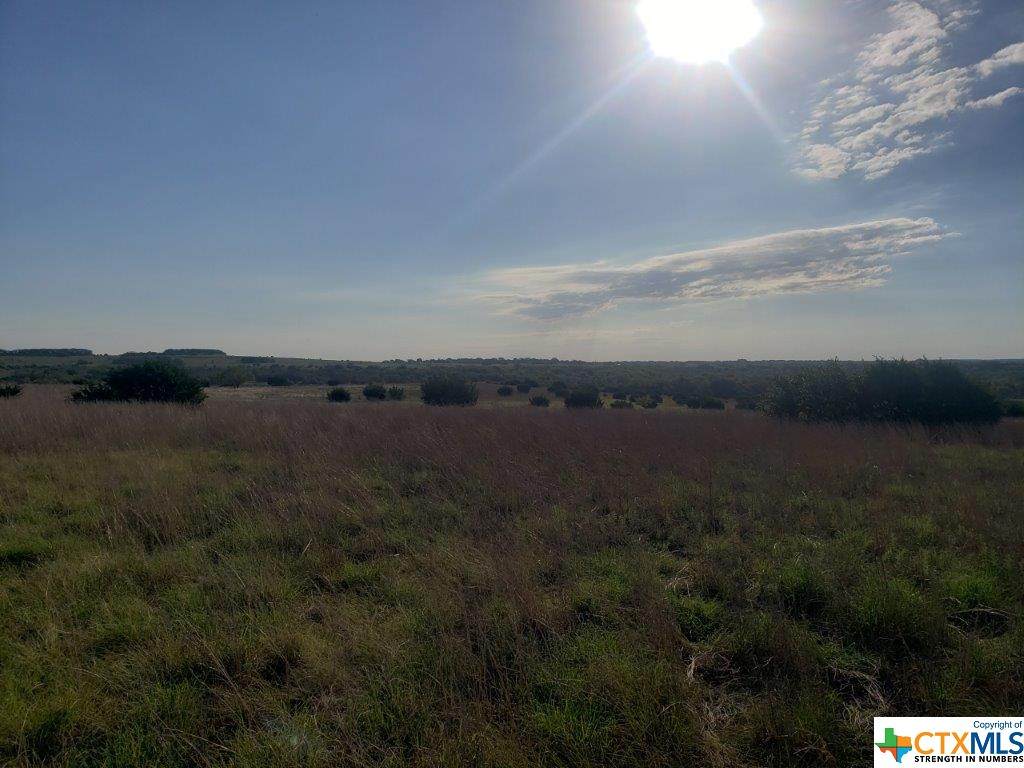 Lot 36 Pecan Creek Ranch - Photo 1