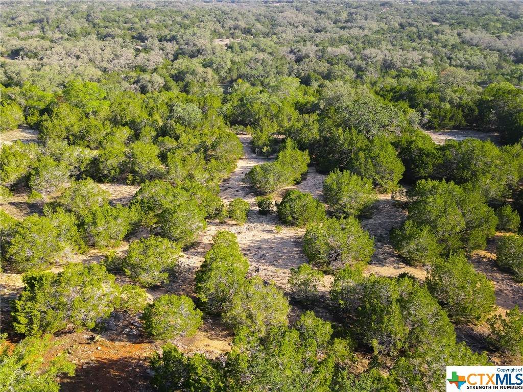 5237 State Highway 16 - Photo 1
