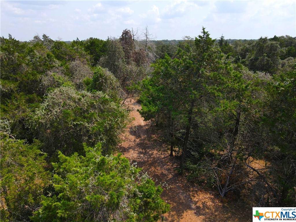 TBD County Road 437 #10 - Photo 1
