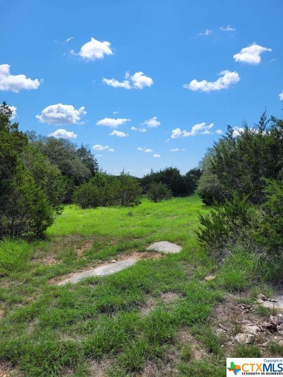 0000 Skyridge Road - Photo 1