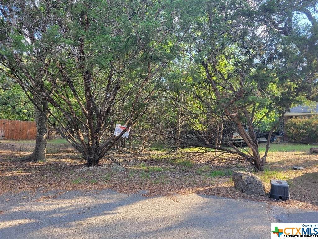5 S. Bobcat Court - Photo 1